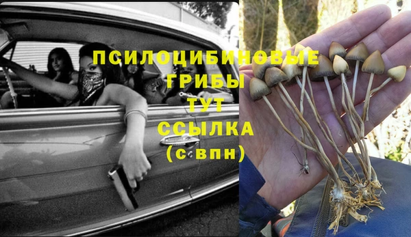 дживик Краснотурьинск