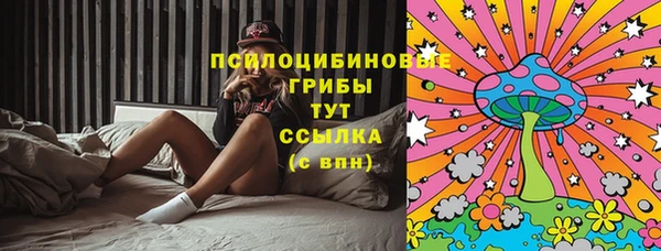 прущий лед Краснослободск