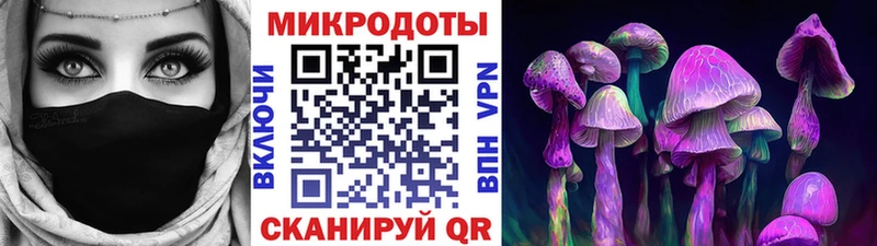 Купить где  Берёзовский  Псилоцибиновые грибы GOLDEN TEACHER 